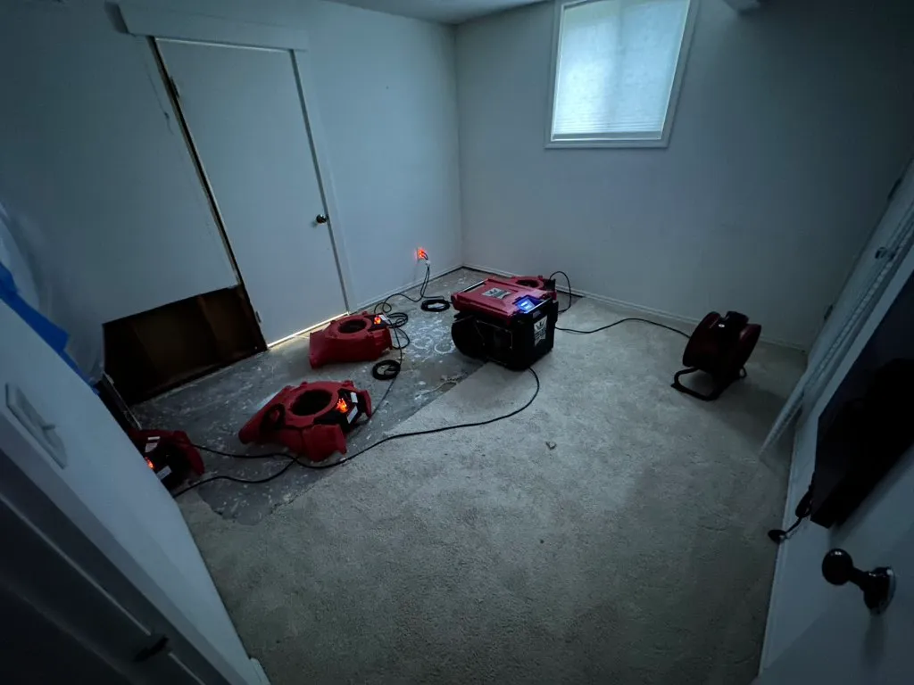 Professional water extraction equipment